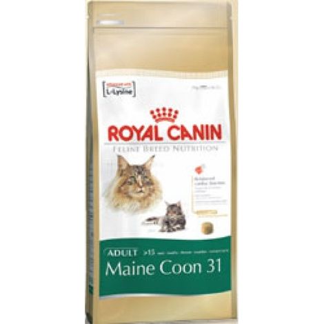 Royal Canin – Croquettes pour chat Maine Coon 4 kg – Formule enrichie en taurine et EPA/DHA – Protection articulaire et santé bucco-dentaire