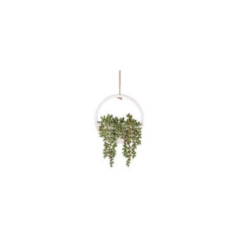 Plante artificielle suspendue décorative, coloris vert, décoration murale intérieure (1/5)