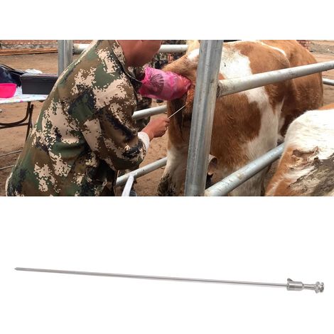 Aguja de inseminación de acero inoxidable para bovinos con cierre de liberación rápida, instrumento veterinario agrícola (45,8 cm, 61 g). (1/5)