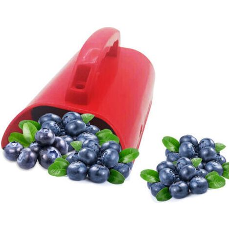 Outil Classeur Cerises - Outil De Récolte De Fruits Avec Poignée Ergonomique Et Peigne Râteau Bleuets Pour Récolte Fruits Feuilles Jardin Extérieur (1/5)