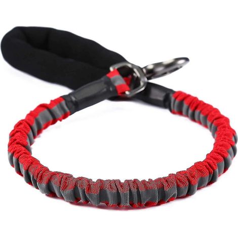 Laisse pour grand chien, résistante et anti-traction, avec poignée confortable, pour chiens de 20 à 60 kg (1/3)