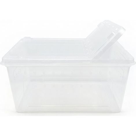 Boîte d'élevage pour reptiles grand 33 x 22 x 15.3 cm