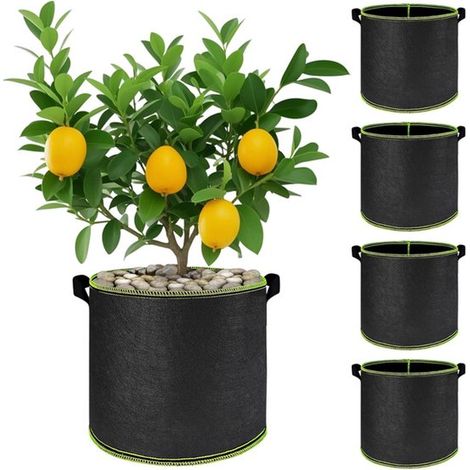 Kit de culture de plantes 5 pièces - sacs de culture - pot de culture - panier à plantes réutilisable - 25 x 30 cm - Noir - Tissu non tissé noir (1/5)