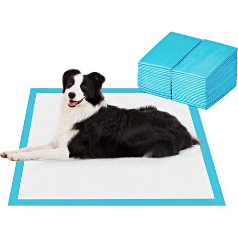 Tapis de dressage pour chien, tapis absorbant et étanche, jetable, pour uriner Bleu Économique Taille XL fine 60 x 90 cm (20 pièces) (1/5)