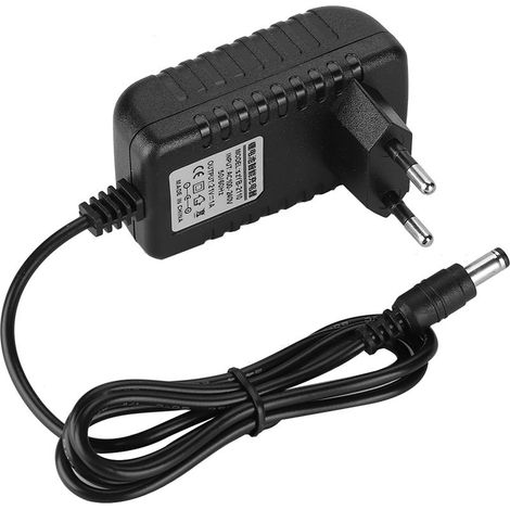 Chargeur Rapide 21V 1A pour Batterie Lithium-ion - Noyau en Cuivre - Fiche UE
