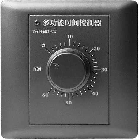 Minuterie AC 220V pour pompe mécanique avec compte à rebours (gris, 60 minutes) (1/5)