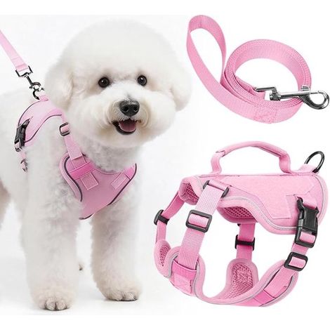 Harnais pour chien - Laisse - Harnais de sécurité - Sangle de poitrine réglable - Réfléchissant - Convient aux chiens de très petite et petite taille - Rose - Taille XXS Rose (1/5)