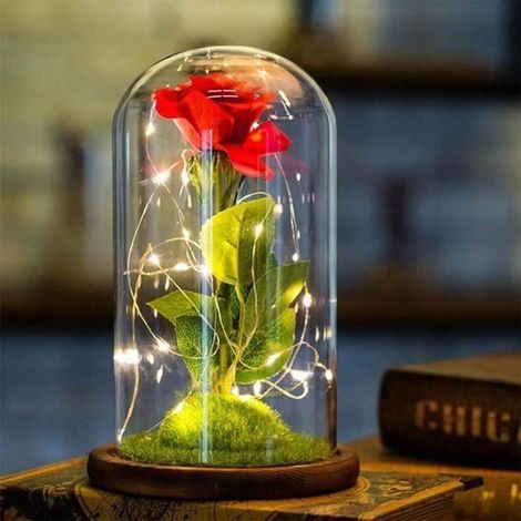 Rose Eternelle et lumière LED - ZGEER - \"La Belle et la bête\" - Cadeaux pour la fête des mères/La Saint Valentin-Ywey (1/5)
