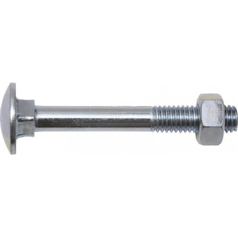 Boulon bois 8 X 100 - Boite de 50 (1/3)