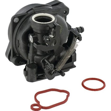 Vergaser Briggs et Stratton 591109 (1/2)