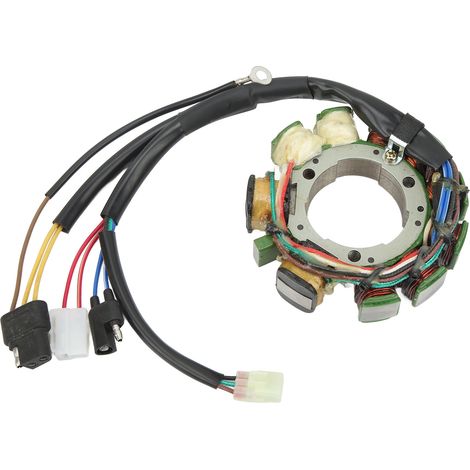 Stator d'allumage de motoneige en cuivre 3005-080, remplacement pour poudre Arctic Cat 500 580 600 (1/5)