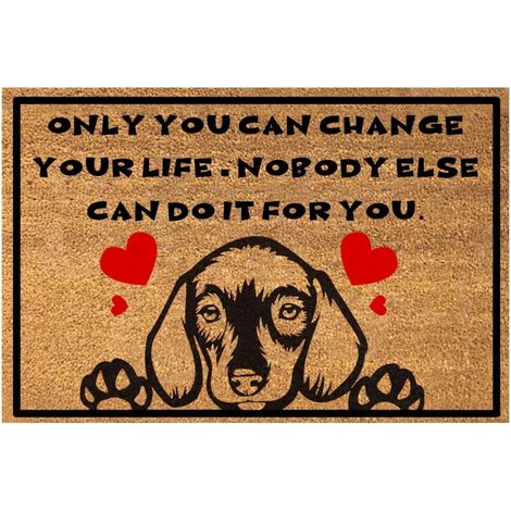 Tapis de Sol Chien Antidérapant pour Cuisine et Entrée, Tapis Facile à Nettoyer pour Intérieur et Extérieur (1/5)
