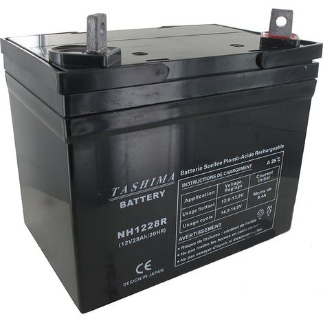 Batterie Tashima Agm 100% étanche 12v, 28a Pour Autoportée. L: 195, L: 130, H: 180, + à Droite. - Batterie à Mettre En Acide Ava
