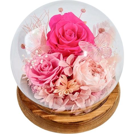Rose préservée sous cloche en verre - Rose cadeau - Pour la Saint-Valentin et la Fête des Mères - Décoration romantique - Pour les amoureux - Rose foncé - 1 pièce (1/5)