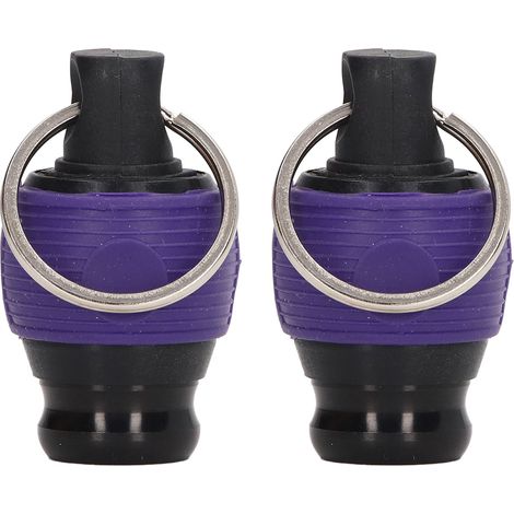 Deux porte-clés violets à vendre. (1/5)