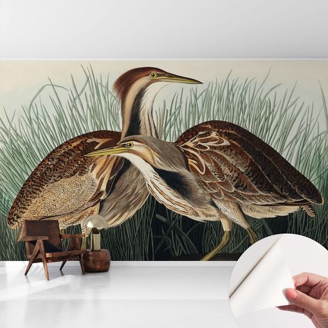 Fotomurale adesivo - murale da parete - Carta da parati autoadesiva - design parete moderno - Uccelli realistici 416x254 cm (1/5)