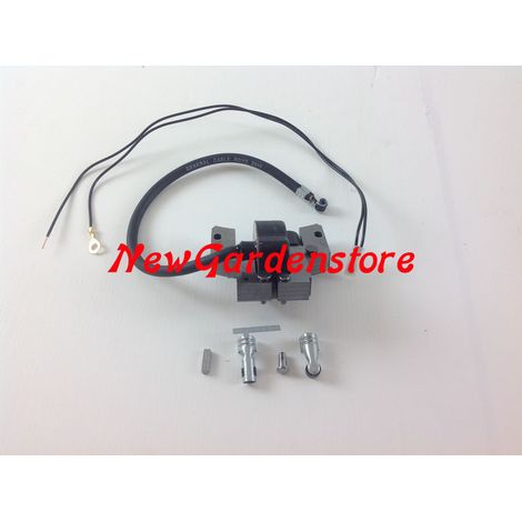 Bobina de motor de tractor de césped BRIGGS & STRATTON 3-3,5-4 CV 793281 (1/4)