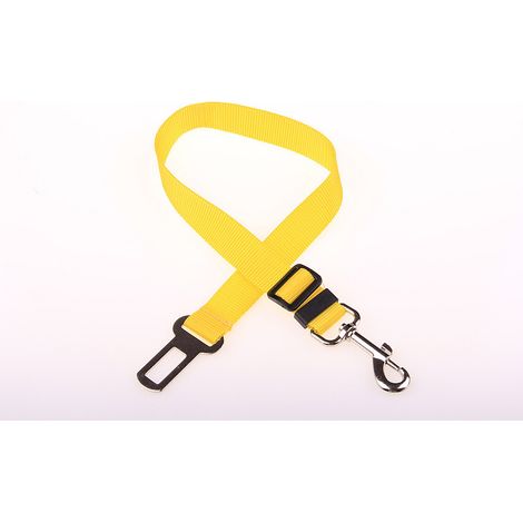Jiajia AI, Ceinture de sécurité pour animaux de compagnie laisse pour jardin, terrasse et extérieur (1/5)