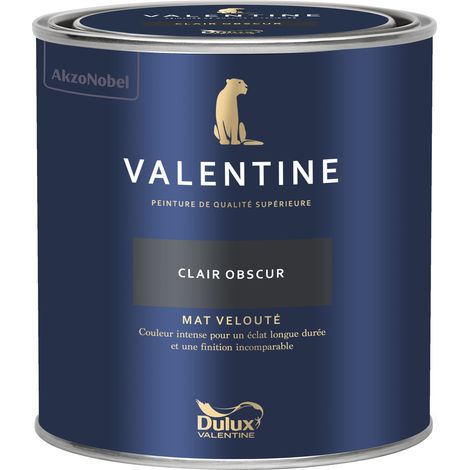 Dulux Valentine Peinture intérieure de haute qualité - Valentine - Couleur intense & pouvoir couvrant élevé - Mat Velouté Clair Obscur 0,5 L