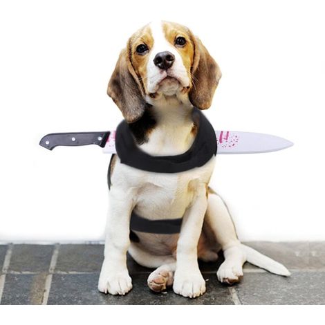 Lustiges Haustierkostüm – Magisches Aufkleber-Halloweenkostüm – Grusel-Accessoires für Hunde – Kleidung für Katzen und Hunde – Dekoratives Haustierkostüm (M)