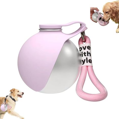 Gourde Chien Acier Inoxydable 285ml - Bol Silicone Pliable Étanche - Avec Mousqueton Pour Voyage Randonnée (1/5)