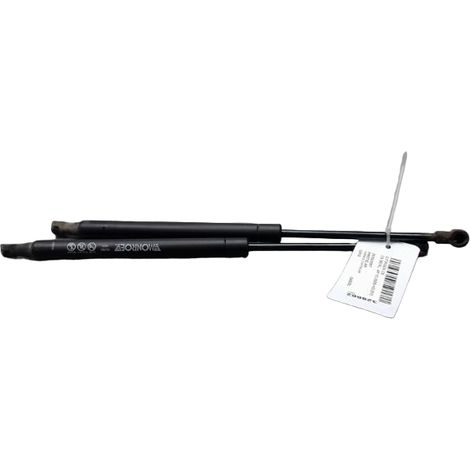 Verin Gauche Coffre Arriere CITROEN C6 Berl. 2005-2013 [PRODUIT D'OCCASION]♻️8731k8
