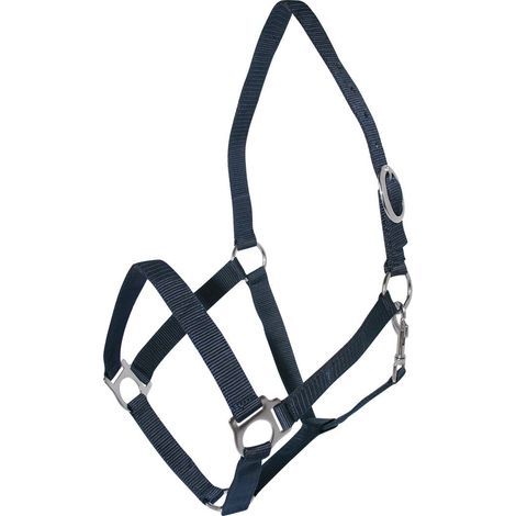 Cavezza in nylon regolabile con fibbiere nichelate: Pony, giallo