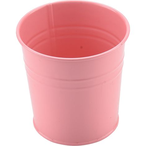 Pot de fleurs en fer rose pour plantes succulentes d'intérieur (1/5)