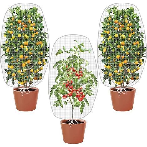 Filet Arbre Fruitier,Filet de Protection Fruitier,3 Pièces Sac de Plantes avec Cordon de Serrage,Anti-Insectes Couverture, Maille Fine Maille pour la Protection des Légumes et Fruits 100X80CM (1/5)