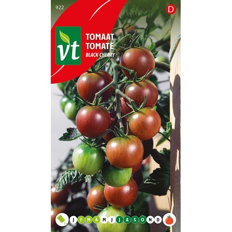 Tomate Black Cherry - Ca. 0,2 gr (Livraison Gratuite) (1/2)