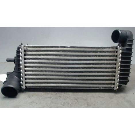 [PRODUIT D'OCCASION] Echangeur Air FORD T.connect ♻️ Ref Oe. 2027395 - Garantie à vie (1/4)