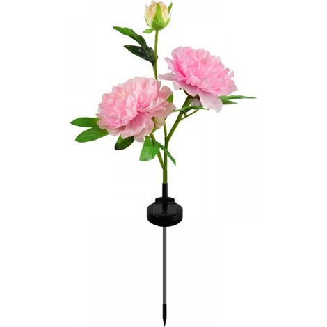 Décoration de jardin avec lampes solaires extérieures Cmskokm-AquaForge (1/5)
