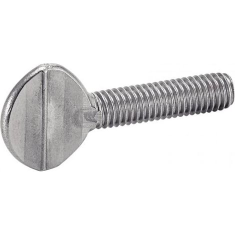 50 Vis Violon 10 x 40 mm - Inox A2 - D-Work