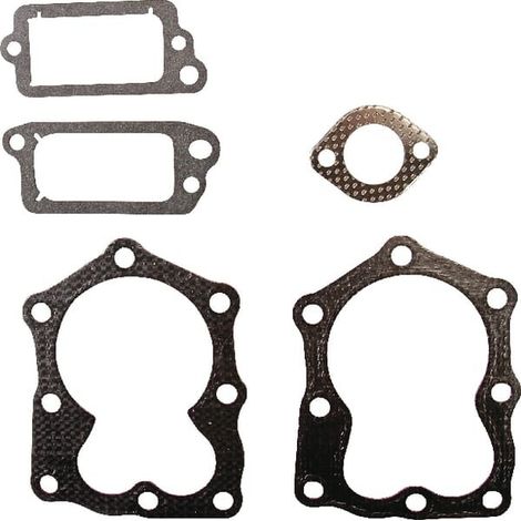Conf guarnizioni valvola BRIGGS ET STRATTON 498528
