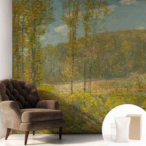 Tapete Vliestapete mit Kleber - Wanddekoration Wohnzimmer - Tapete Schlafzimmer Waldlandschaft 250x250 cm (1/5)