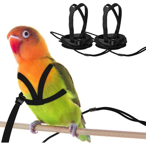 Lot de 2 Harnais et Laisses Réglables pour Perroquets – Taille M – Design Anti-Morsure pour l’Entraînement – Convient aux Oiseaux de 24 à 51 cm – Noir (1/5)