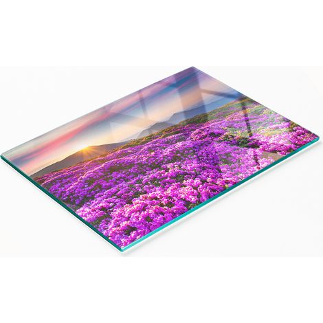 Tabla decorativa de cristal para servir aperitivos, dise帽o de flores en la monta帽a, 80x52 cm.