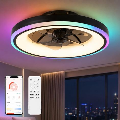 Plafonnier Ventilateur, Ventilateur Plafond avec Lumière LED et Télécommande, Ventilateur Plafond Silencieux, 6 Vitesses, Dimmable, Minuterie, pour Chambre,Salon (Noir, 50cm) (1/5)