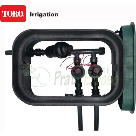 Toro PA-EZP-F2 - Pozo de riego ensamblado de 1" y 2 zonas