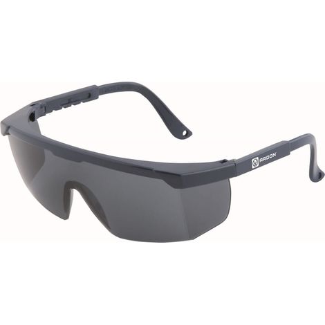 Ardon getönte Schutzbrille V2111