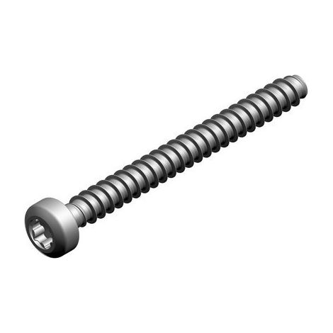 BOSCH Ersatzteil TTNR: 7736700683 Schraube M 35 x 35 (2x) (1/2)
