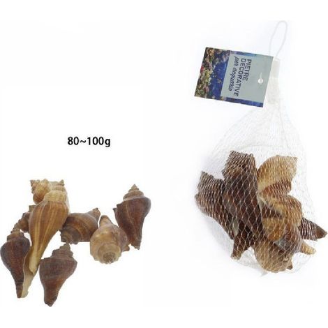 Trade Shop - Muscheln im Beutel, Dekoration für Aquarien, 80 – 100 g, 70282 -