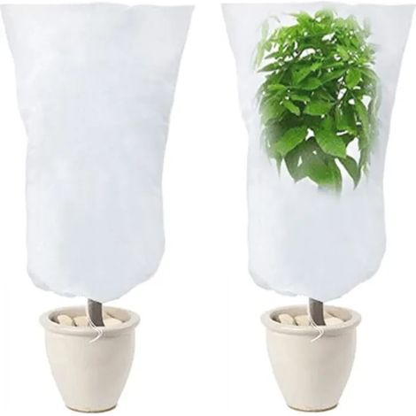 Lot de 2 Housse Hivernage pour Plantes, Voile Hivernage Plante Exterieur, Voile D'hivernage, Bache Hivernage Protection Plante (1/5)