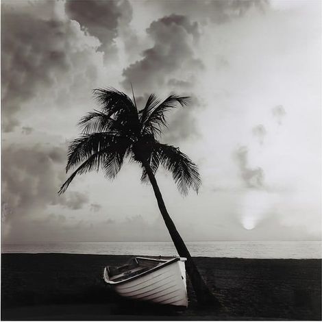 Pintura monocromática sobre vidrio - palmera 80x80cm