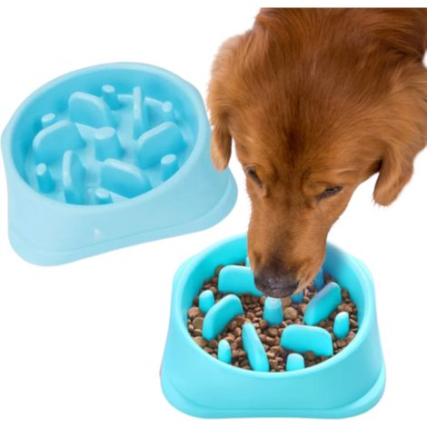 Gamelle pour chien avec picots pour ralentir la prise alimentaire - bleue (1/5)