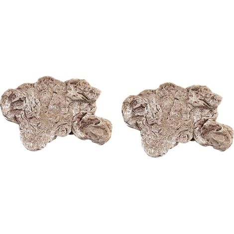 2pièces Décor De Base Pour Modèle De Dinosaure Support Chic Pour Animaux Pour Bureau Ou Maison s (1/5)