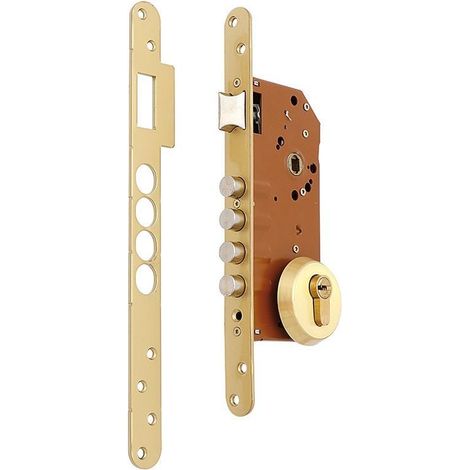 cerradura de embutir multipunto r100b. acero niquelado. bulones diámetro 14mm. dorado/latón. escudo e700l. cilindro t60 (1/2)