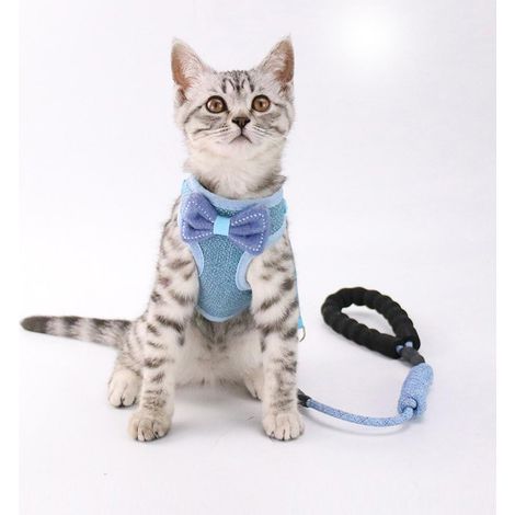 Ensemble harnais et laisse pour chat, harnais réglable avec nœud papillon, type gilet, corde de traction pour chat, accessoires pour animaux de compagnie (1/4)