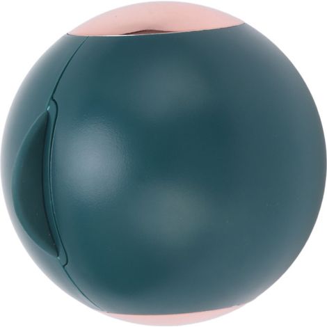 Rouleau anti-peluches réutilisable et lavable, portable, pour les poils de chien et de chat, idéal pour les voyages et la maison (vert et or).