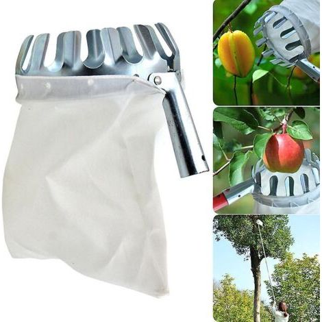 Cueilleur de fruits en acier inoxydable Outils de cueillette multifonctionnels (1/2)